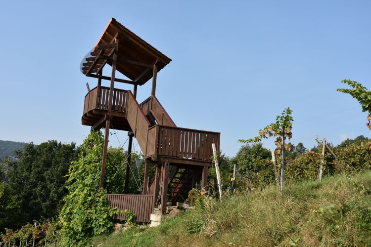 Bad Gams Weinbergwarte Bad Gams Weinbergwarte