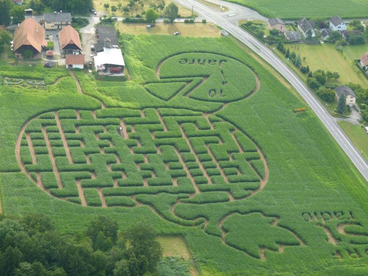 Mais Labyrinth ein 2. mal Mais Labyrinth ein 2. mal