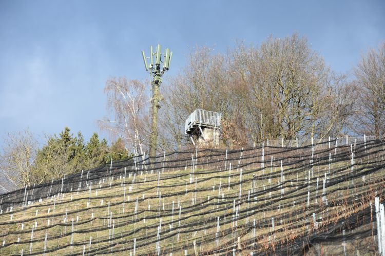 Blick nach oben