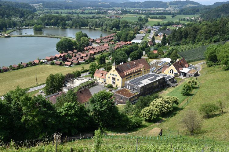 Sulmsee