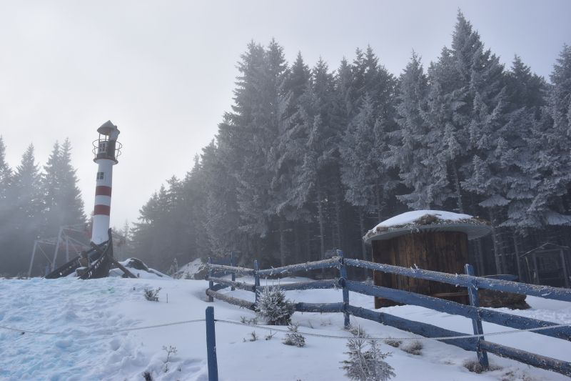 bei der Gipfelhütte